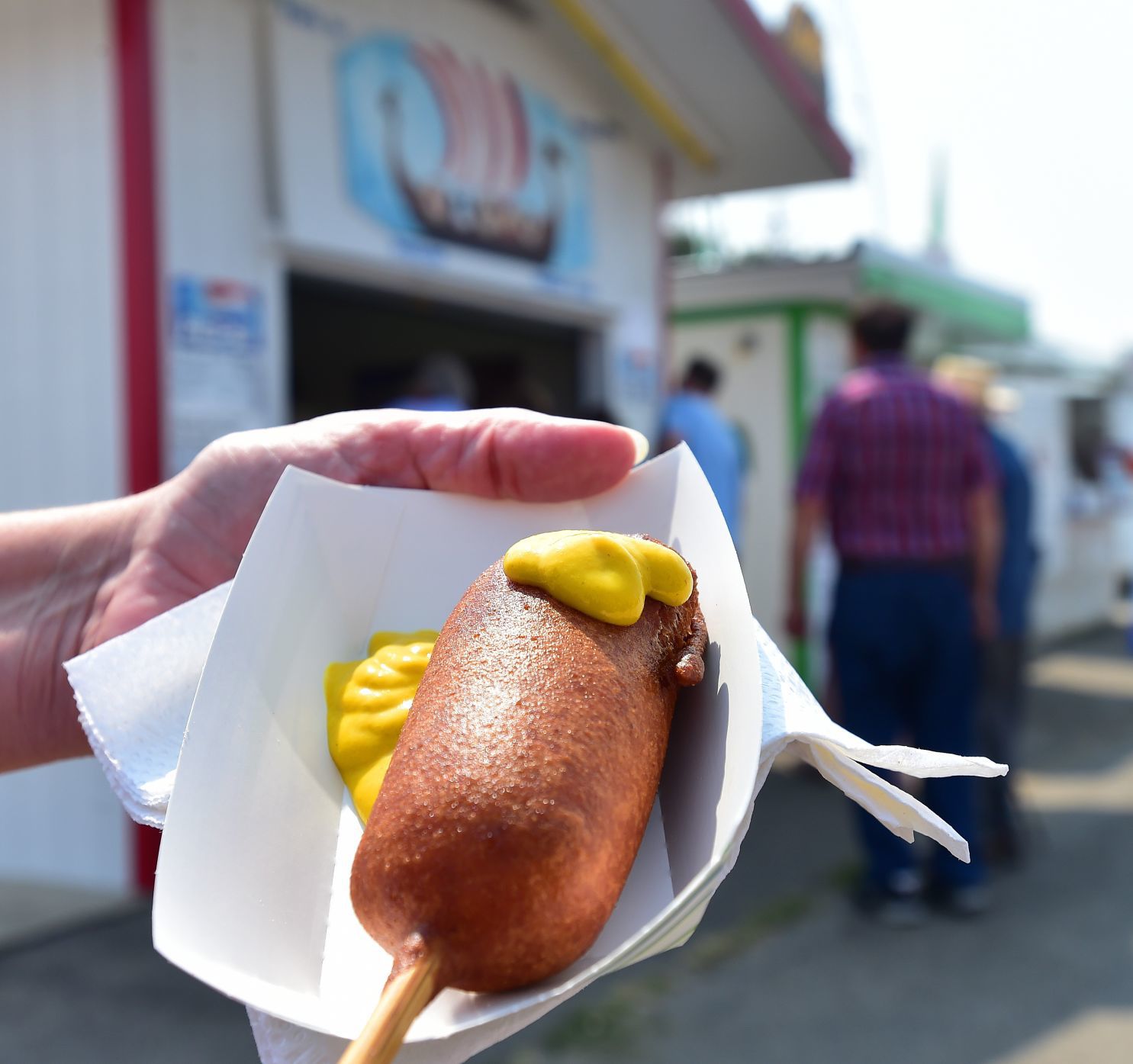 Fair food viking